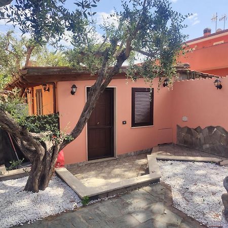Sunrise Home فيوميتشينو المظهر الخارجي الصورة